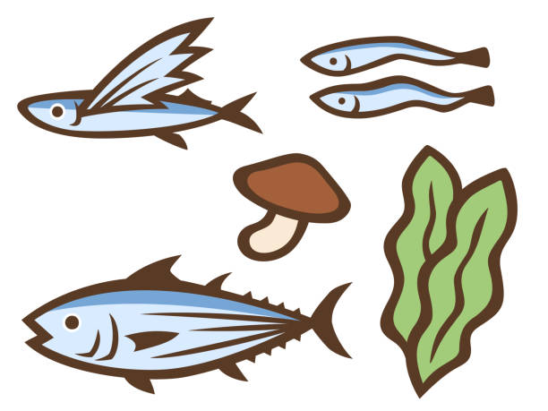 illustrazioni stock, clip art, cartoni animati e icone di tendenza di set di illustrazioni di ingredienti tradizionali giapponesi per il magazzino della zuppa - pesce volante immagine