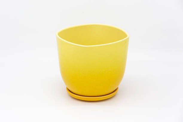istock Flower pot on white background 1315116656
