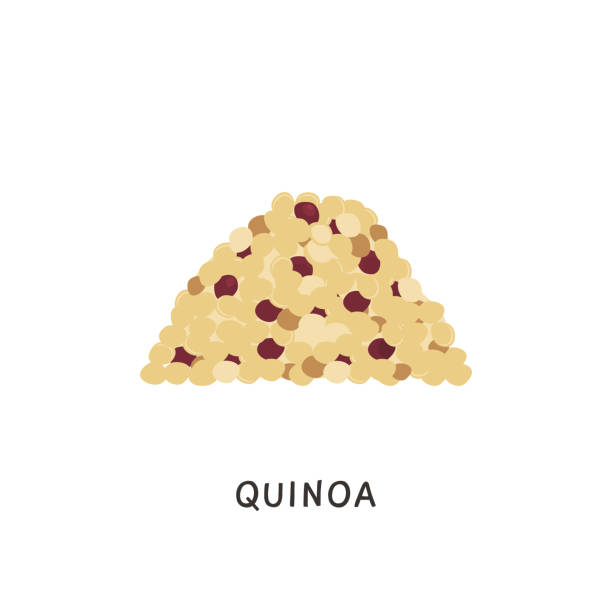 haufen von gemischten rohen quinoa-samen. tricolor glutenfreies getreide vegane protein nahrung. bio-superfood-produkt für gesunde ernährung auf weißem hintergrund. vektor-illustration im flachen cartoon-stil. - quinoa stock-grafiken, -clipart, -cartoons und -symbole