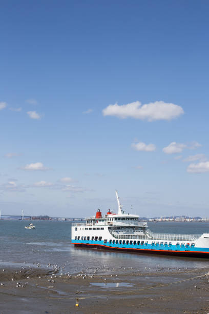 istock Cruise ship anchorage in the marina under sky. 1315117516
