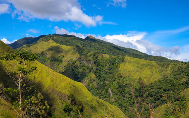 istock Green mountain and distant forest under blue sky optimistic landscape. Rural land scenery. Summer travel hiking in green hills. Untouched nature parkland. Volcanic island relief 1315118634