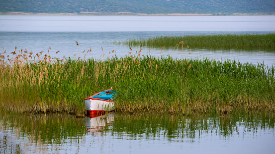 fishing boat among reeds in the lake