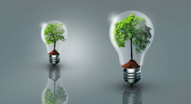 istock Think green, Power saving, Innovation, Green ecology energy, and Saving environment Concept. 1315120784