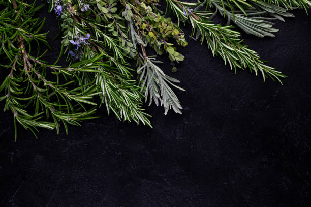Rosemary withFresh italian green herbs Origanum majorana, on a black slate background Rosemary, Rosmarinus and Origanum majorana, marjoram oreganum. Fresh italian provance green herbs on a black slate background. Top view with copy space majoran stock pictures, royalty-free photos & images