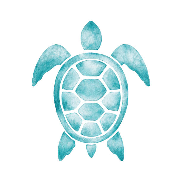 Watercolor Turtle Vector illustration of blue turtle. marine life logo stock illustrations