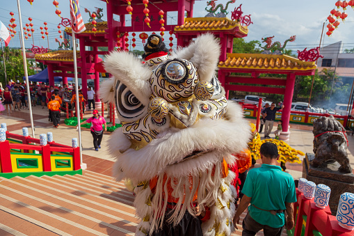 Kota Kinabalu, Sabah , Malaysia - Febuary 05, 2019 : Lion dance show in chinese new year festival on 1st day Chinese new year on Peak Nam Toong , Kota Kinabalu Sabah, Malaysia
