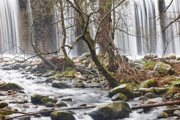 istock Forest creek and waterfall. Lozoya river in Madrid. Pradillo Dam 1315140788