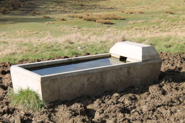 Farm Animal Drinking Trough.