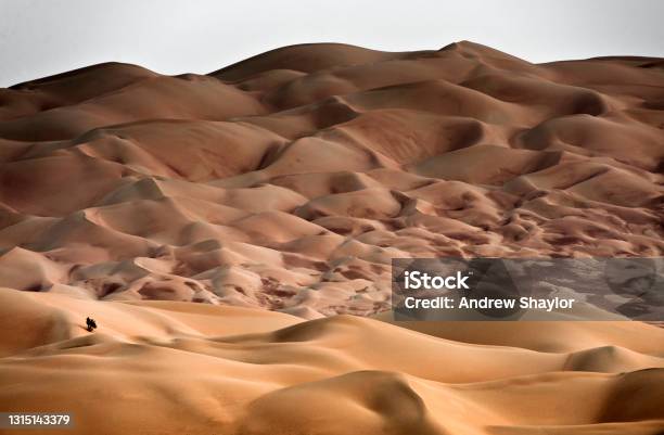 Sand Dunes Lisa Desert Stock Photo - Download Image Now - Liwa Desert, Arid Climate, Beauty In Nature