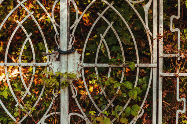 Old and elegant gate in the woods