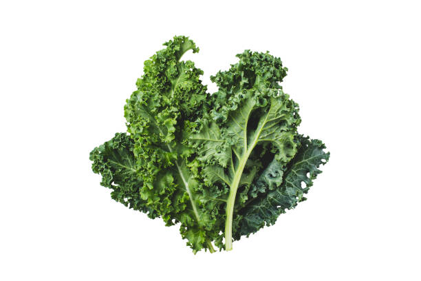 istock Kale fresh leaves isolated on white background 1315149045