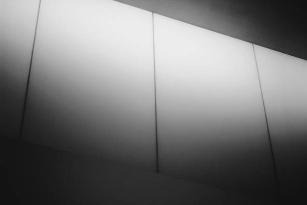 istock Black and white frosted glass 1315150498