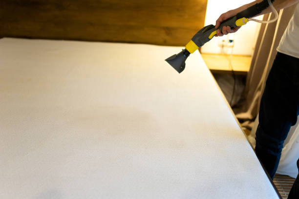процесс глубокой уборки мебели, снятия грязи с кровати. концепция стирки. - mattress cleaning vacuum cleaner housework стоковые фото и изображения