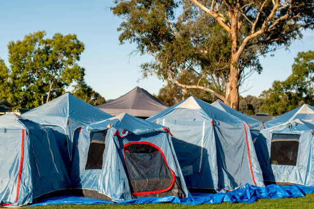 istock Tents setup for a group camping at the green grass meadow. Multiple instant up connectable tents on a campground. 1315153336