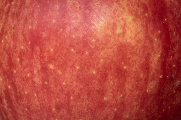 istock red and yellow apple skin with visible details 1315156418