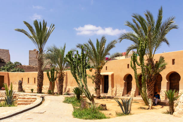 istock Historic building  with palm trees in Tiznit, Morocco 1315159637