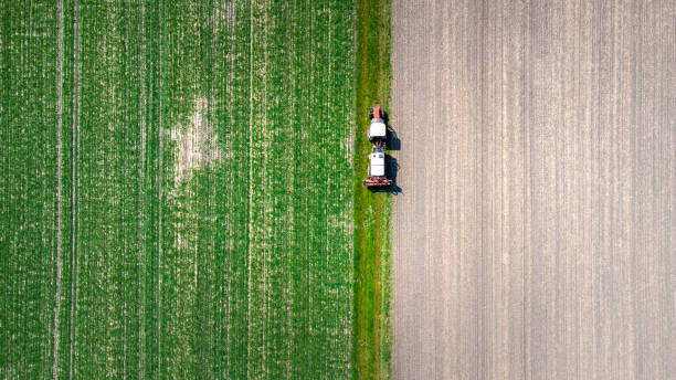 istock Aerial view of agricultural fields in spring 1315164613