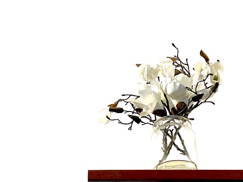 Horizontal still life looking up to white magnolia flowers in bloom with seed pods in glass vase on high up wood table with white background