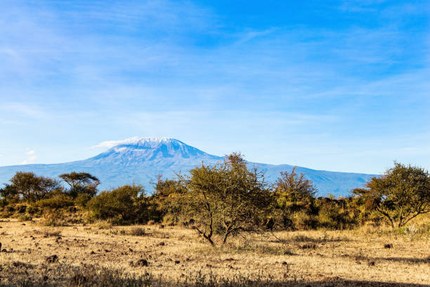 istock The snow-capped Mount Kilimanjaro 1315167033