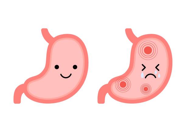 illustrations, cliparts, dessins animés et icônes de organe d’estomac heureux en bonne santé et triste souffrance caractères malades. vérifiez l’état de santé de l’estomac. gastrique malsaine, gastrite, indigestion et problèmes d’ulcère, douleur, concept de maladie. illustration plate de vecte - human large intestine