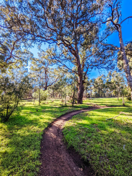 istock Yarra Trails in Melbourne Australia 1315172289