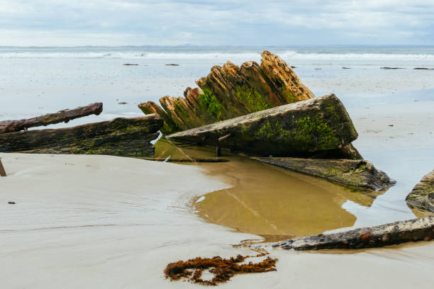 istock Amazon Shipwreck in Inverloch Australia 1315172295