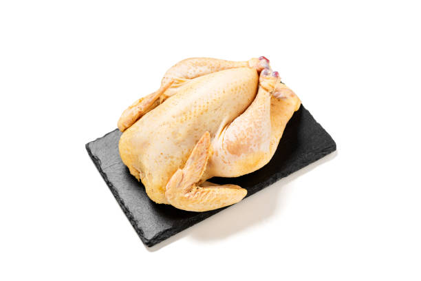 pollo crudo fresco - preparation meat single object female foto e immagini stock