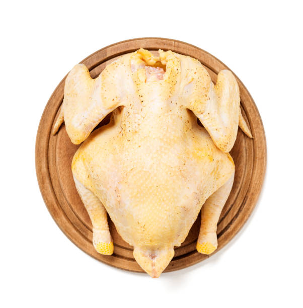 pollo crudo fresco - preparation meat single object female foto e immagini stock
