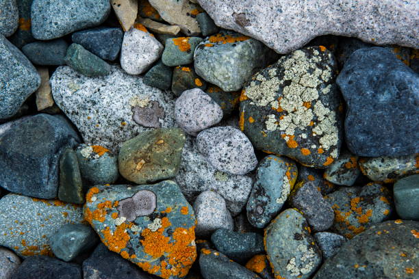 istock Seen from above, rocks on a beach with colorful patterns and lichens create a pleasing design 1315173297