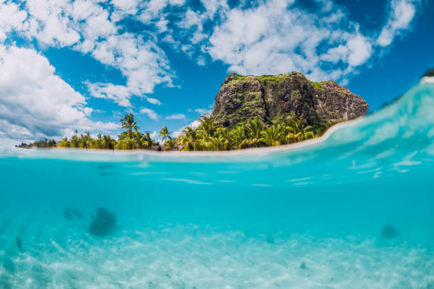 istock Tropical blue ocean with Le Morne mountain and luxury beach in Mauritius island. Split view. 1315175380