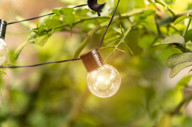 istock Solar energy Led lamp With Renewable energy solar panel 1315175429