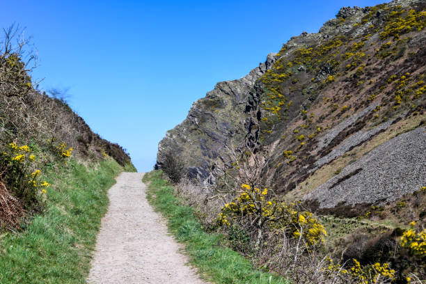 istock Footpath through country hiking route on a coastal walk uk 1315176047