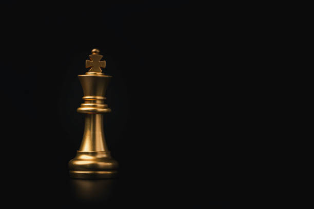 검은 배경에 혼자 서 킹 체스, 비즈니스 경쟁 및 마케팅 전략 계획 개념의 우승자. - chess defending chess piece chess board 뉴스 사진 이미지