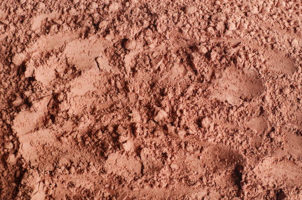 istock Dry cocoa powder background close up. Top view 1315178842