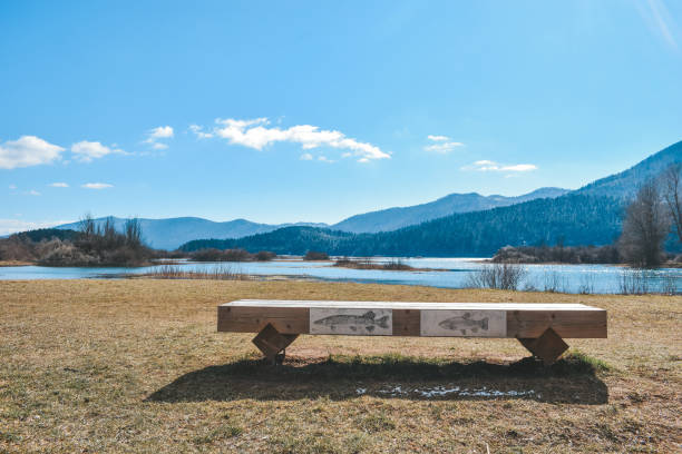 세르크니카 호수의 전경을 조망할 수 있는 교육용 벤치 - lake cerknica 뉴스 사진 이미지