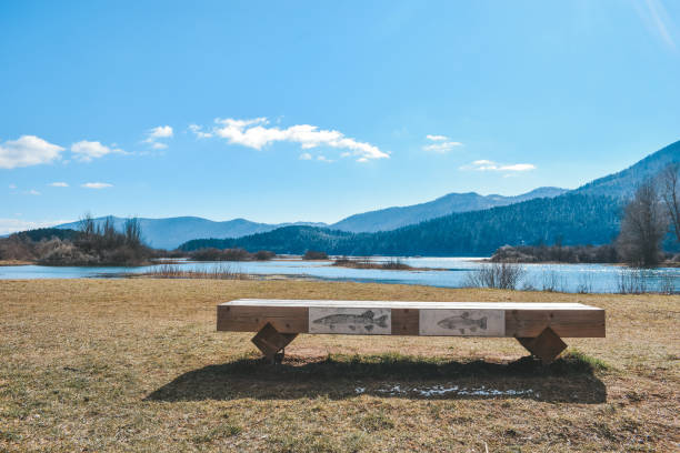 Educational bench with the view of lake Cerknica benc in cerknica on a sunny day cerknica lake stock pictures, royalty-free photos & images