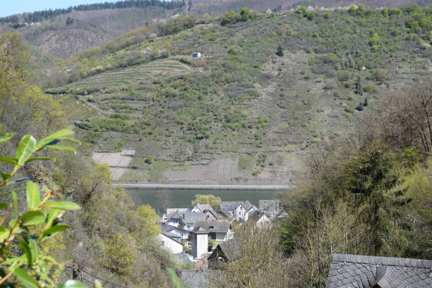 istock view into Mosel valley and village Kattenes 1315185629