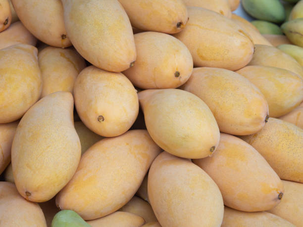 istock Fresh yellow mangoes from the farm 1315188046