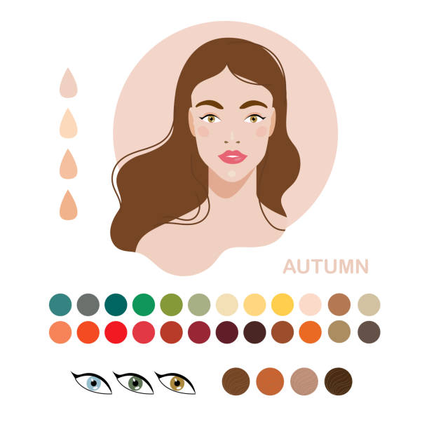 Type of appearance. Woman appearance color type autumn, fall Woman color type autumn, fall. Types of skin color or appearance color type. Fashion guide chart with analysis of skin tone, hairs, eyes, makeup palette and clothes. Vector illustration skin tone chart stock illustrations