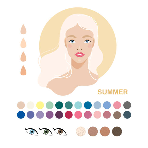 Type of appearance. Woman appearance color type summer Woman appearance color type summer. Woman portrait. Fashion guide chart with analysis of skin tone color type, hairs, eyes, makeup palette and clothes. Vector illustration skin tone chart stock illustrations