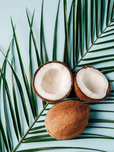 istock Creative layout with coconuts and palm leaves on blue background. Minimal tropical summer concept. Flat lay, top view. 1315189884