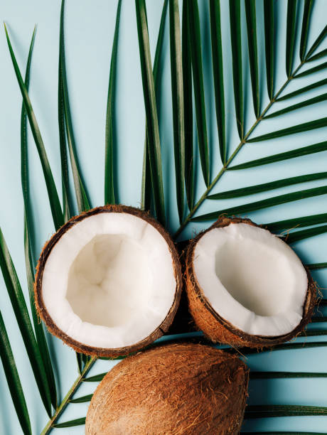istock Creative layout with coconuts and palm leaves on blue background. Minimal tropical summer concept. Flat lay, top view. 1315190108