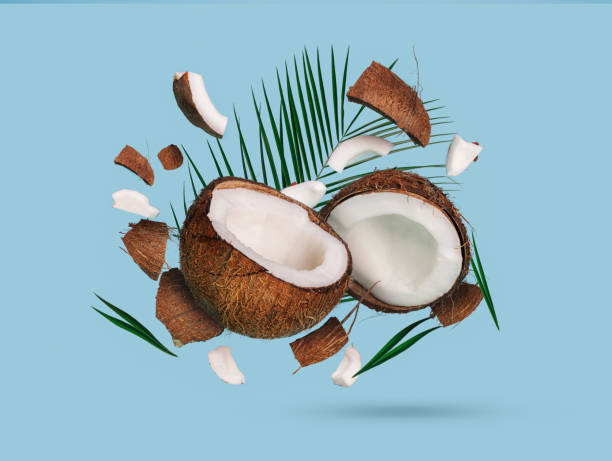깨진 코코넛 재료, 반쪽 및 파란색 배경에 야자잎덩어리. 창조적 인 이국적인 과일 식품 개념. 트렌디 한 여름 배너. 여행, 유기농 화장품, 여름 세일 컨셉. - 코코넛 뉴스 사진 이미지