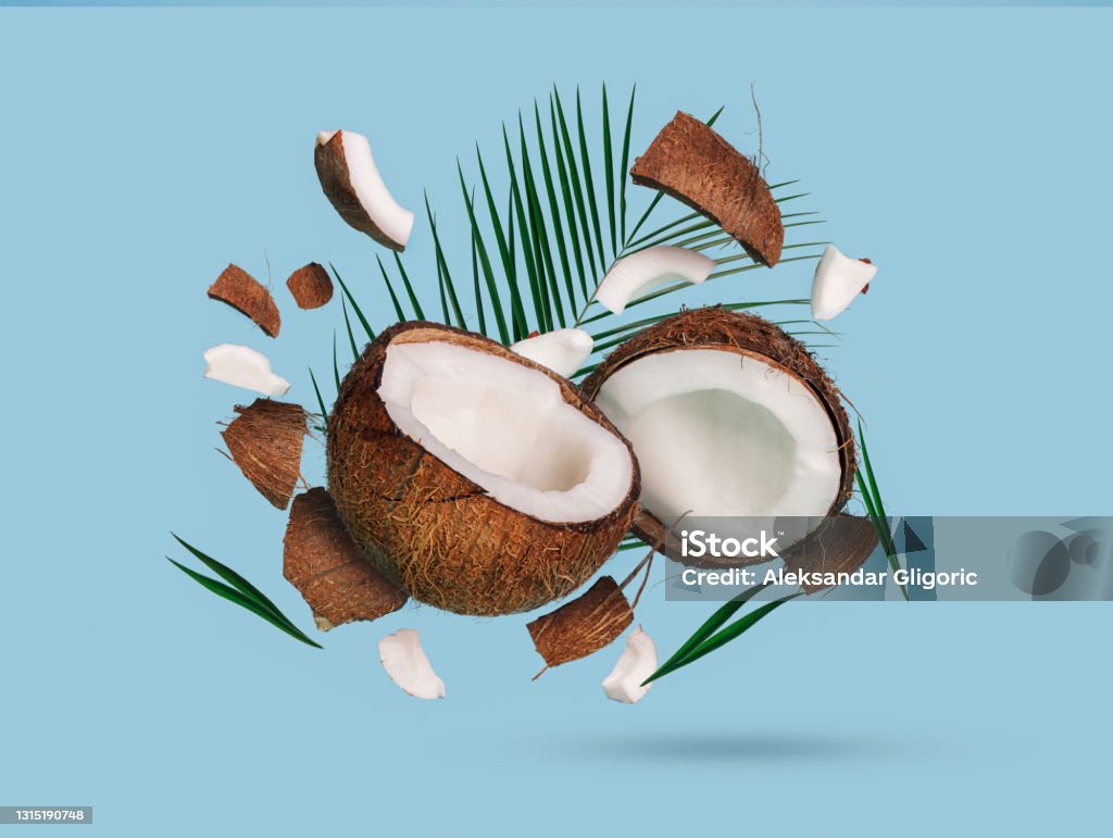 Broken coconut ingredients, halves and chunks with palm leaf on blue background. Creative exotic fruit food concept. Trendy summertime banner. Travel, organic cosmetics, summer sale concept. Coconut Stock Photo