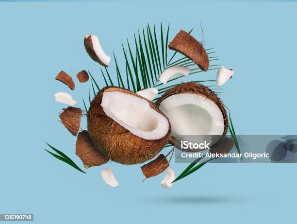 Broken Coconut Ingredients Halves And Chunks With Palm Leaf On Blue Background Creative Exotic Fruit Food Concept Trendy Summertime Banner Travel Organic Cosmetics Summer Sale Concept Stock Photo - Download Image Now