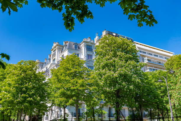 istock Paris, beautiful buildings 1315191428