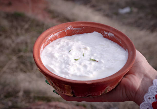глиняный сосуд с болгарским йогуртом - bulgarian culture bulgaria traditional culture food стоковые фото и изображения