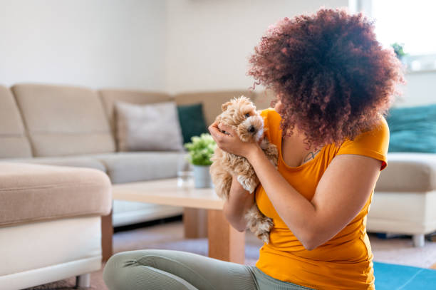 istock Young cheerful woman peting a little puppy during exercizing 1315194939