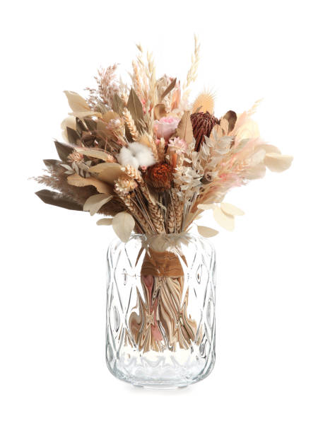 白で分離ガラスの花瓶の美しい乾燥花の花束 - bouquet flower autumn vase ストックフォトと画像