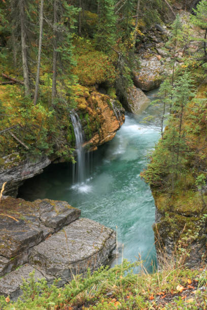 istock Maligne River and its turquoise water 1315199224
